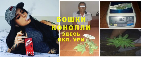 ПСИЛОЦИБИНОВЫЕ ГРИБЫ Бугульма