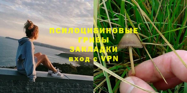 ALPHA PVP Бородино