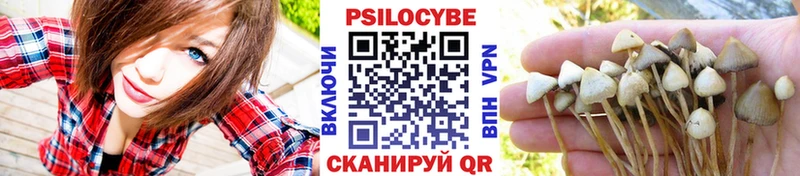Псилоцибиновые грибы мухоморы гидра рабочий сайт Хабаровск